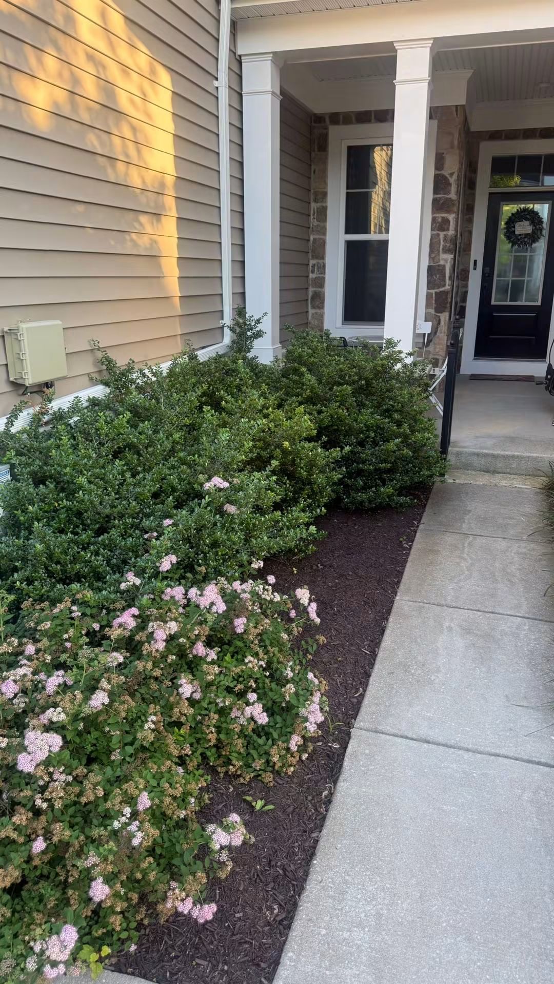 Refreshed mulch beds with trimmed shrubs